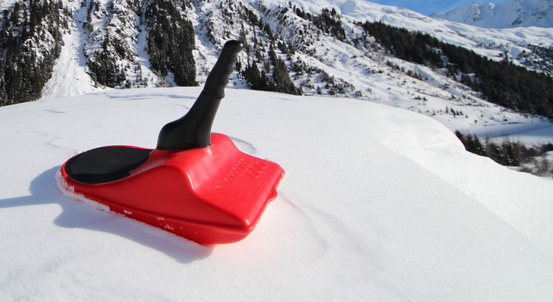 mini bob zipflbob rot im Schnee
